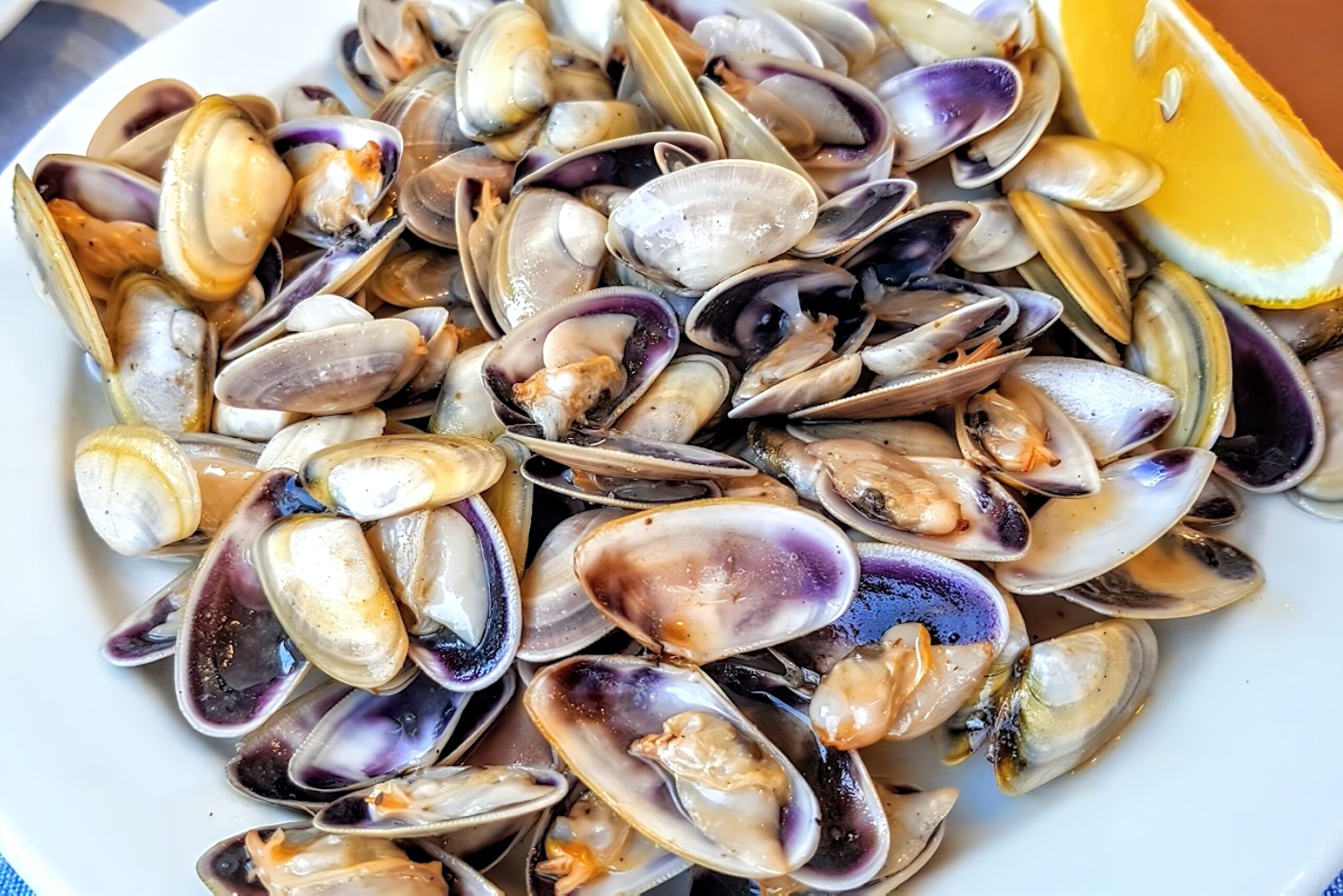 freiduria-choqueros05