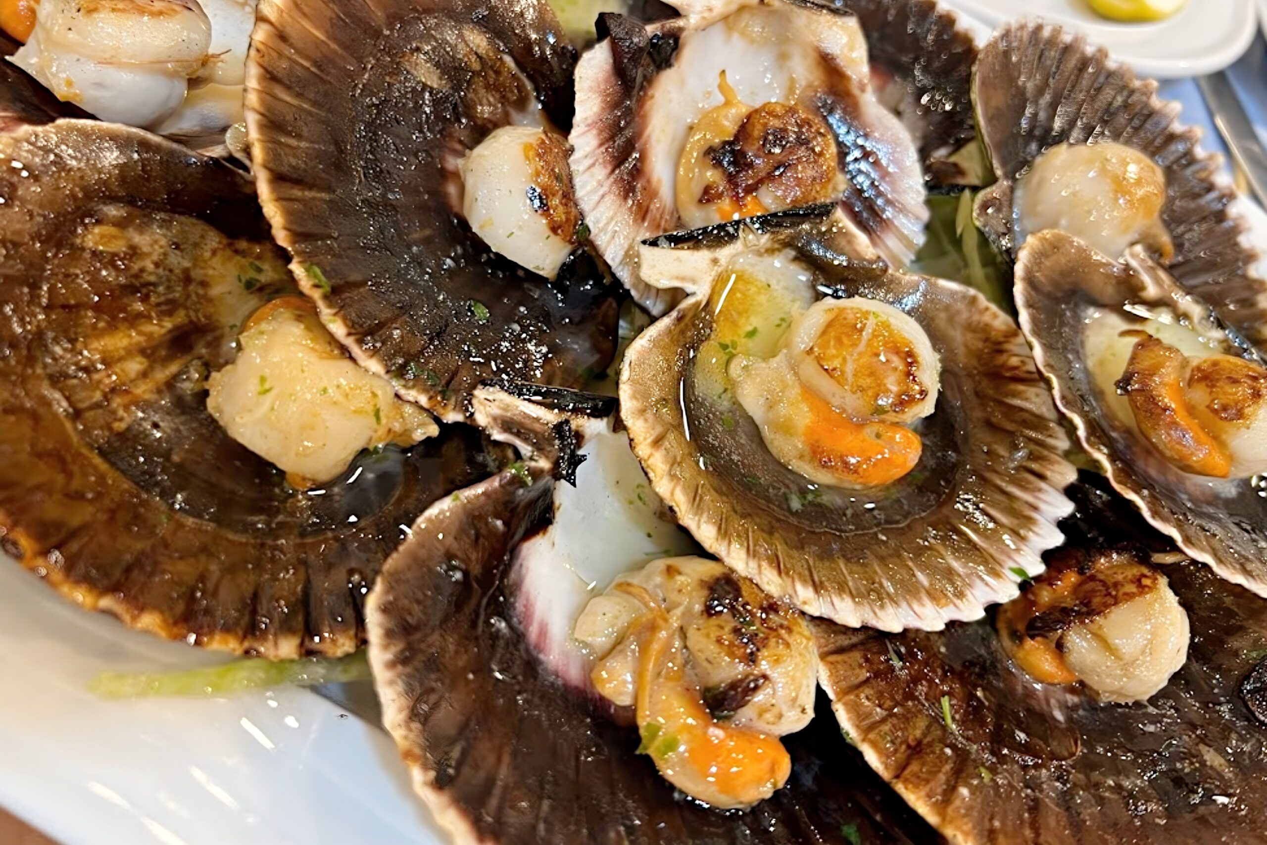 freiduria-choqueros11