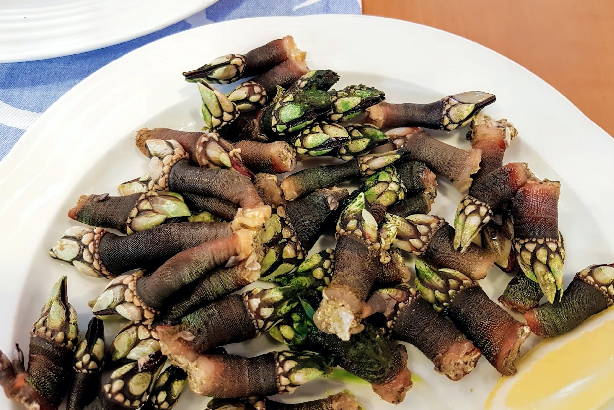 freiduria-choqueros13